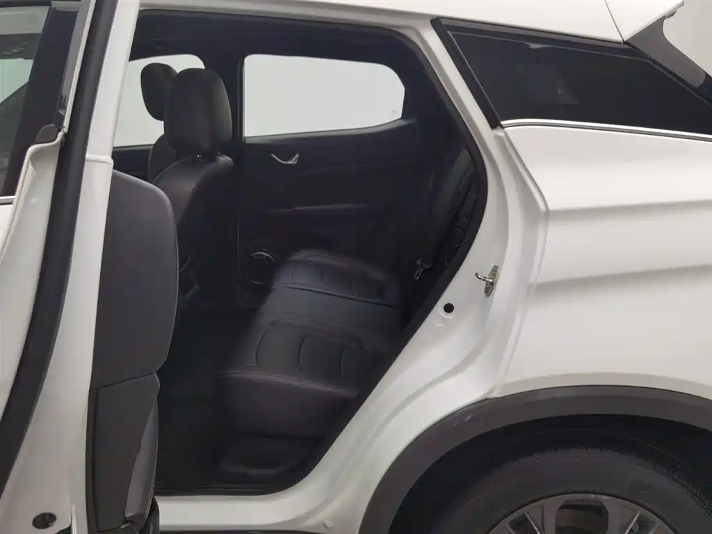 DONGFENG SCENERY 500