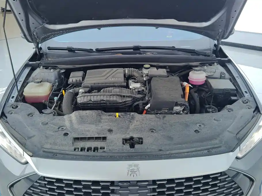 BYD Qin PLUS 2024 Glory Edition DM-i 55KM Leading фото 10
