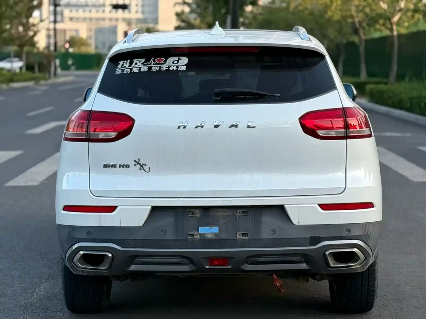 صورة 4 - Haval H6