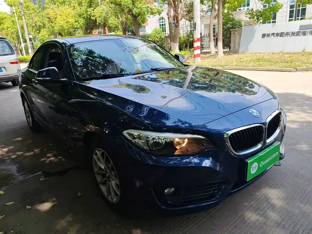 BMW 2 Series (Import) 2015 218i фото 4