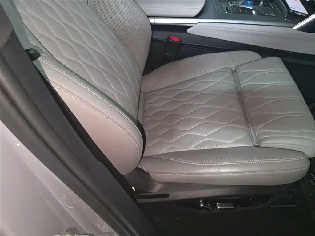 BYD Tang New Energy 2025 Smart Driving Edition DM-i 115KM Flagship фото 25