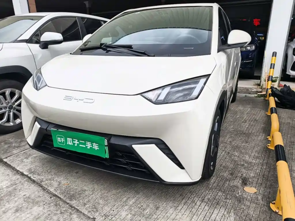 Фото 24 - BYD Seagull