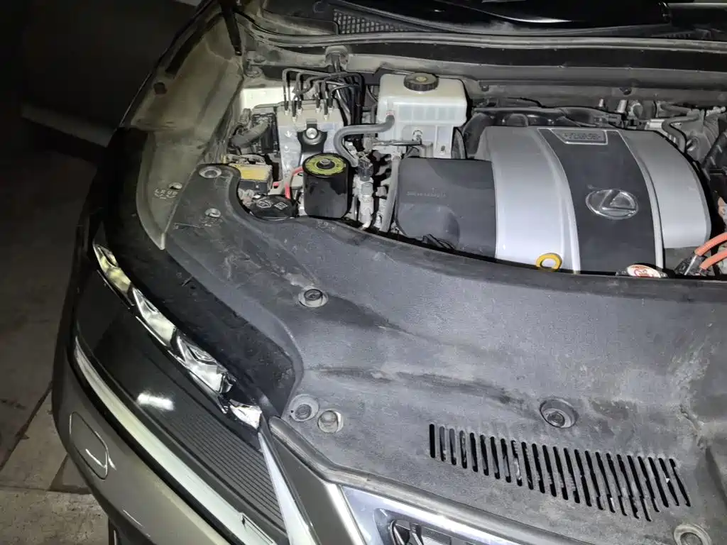 Фото 19 - Lexus RX