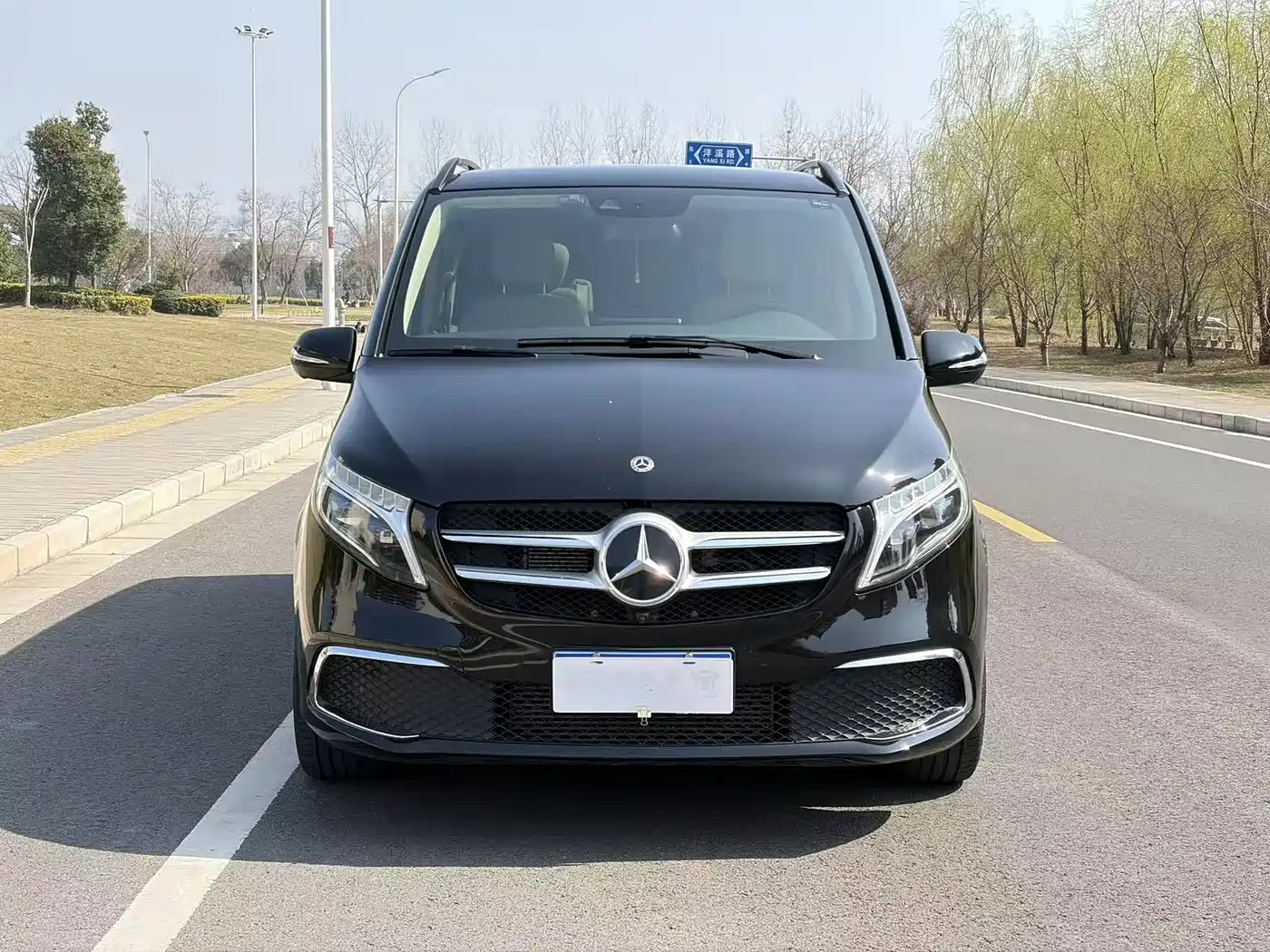 Mercedes-Benz V-Class 2020 V 260 Luxury Edition фото 2