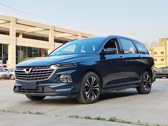 WULING WULING CAPGEMINI