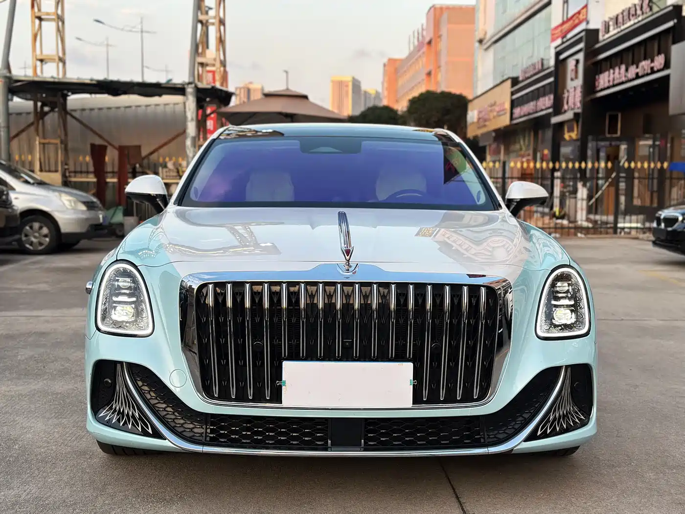 Hongqi Guoya 2024 3.0T V6 Version фото 2