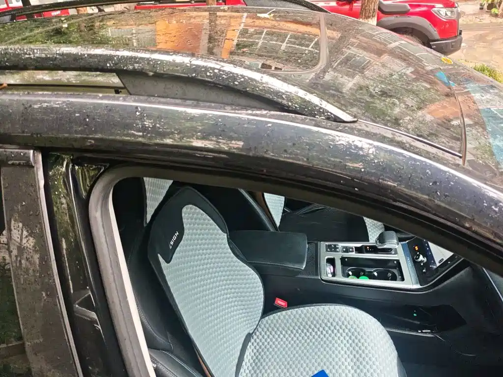 Roewe RX5 New Energy 2021 2020 ePLUS Guochao Ronglin Luxury Edition