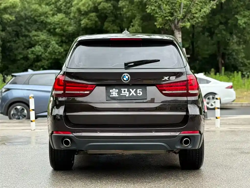 BMW X5 (Import) 2017 xDrive35i Elegance фото 5