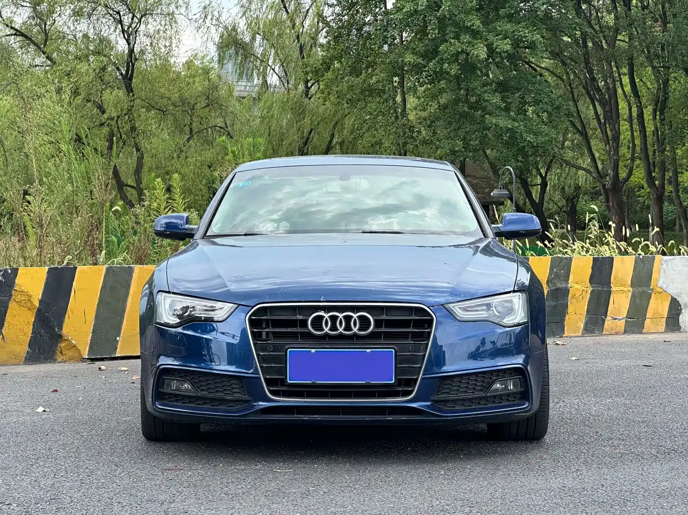 Audi A5 (Import) 2013 2012 3.0TFSI Sportback quattro