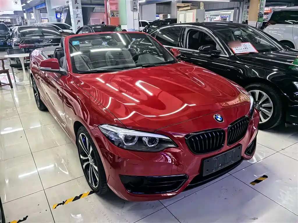 BMW 2 Series (Import) 2019 225i Convertible Coupe Sport Design Package фото 8