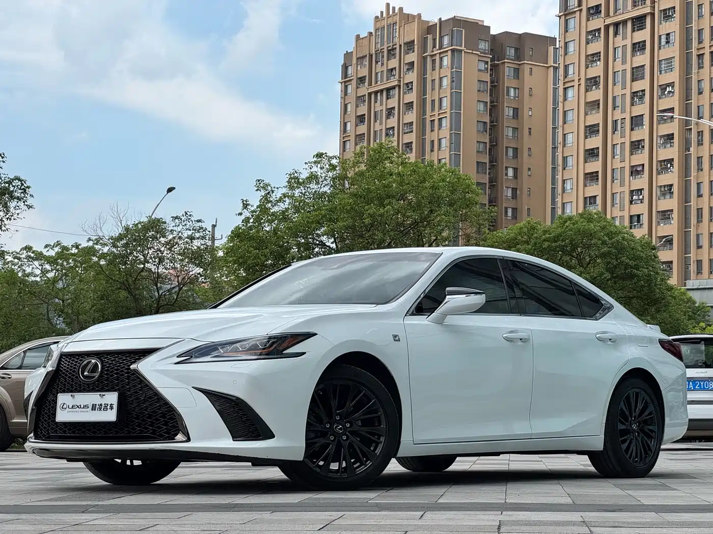 Lexus ES 2018 260 F SPORT (China V)