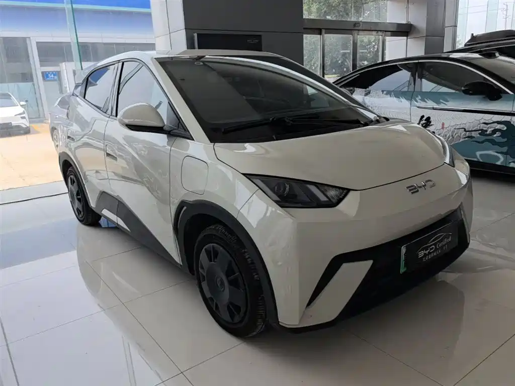 BYD Seagull 2024 Glory Edition 305km Vitality Edition фото 4