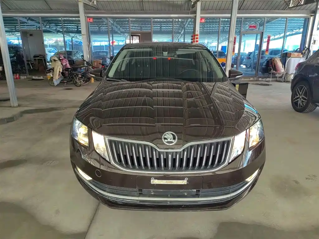 Škoda Octavia 2018 1.6L Automatic Luxury фото 3