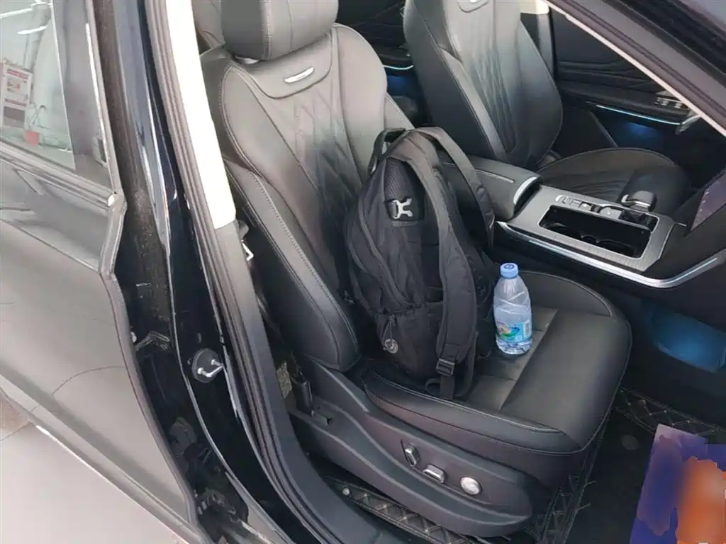 Hongqi HS7 PHEV 2024 2.0T PHEV 4WD Flagship Edition 6-seater фото 25