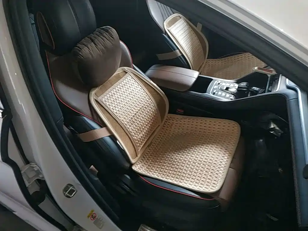 BYD Song PLUS 2021 2020 1.5T Automatic Luxury