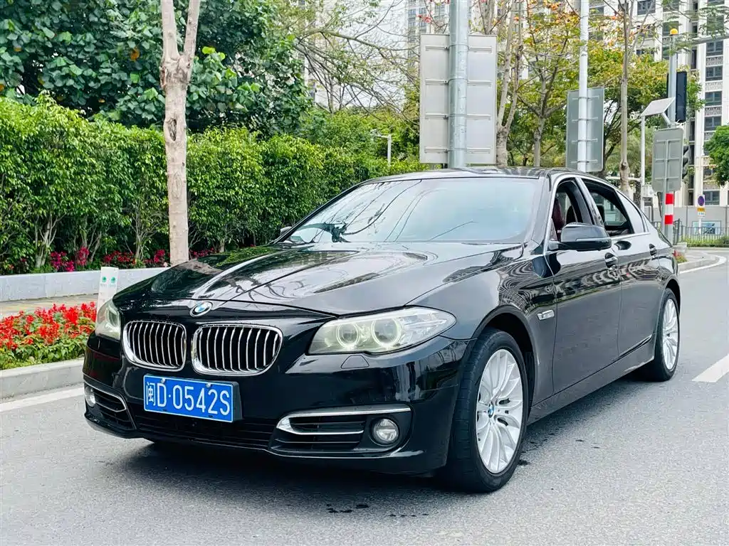 BMW 5 Series 2014 525Li Luxury Design Package