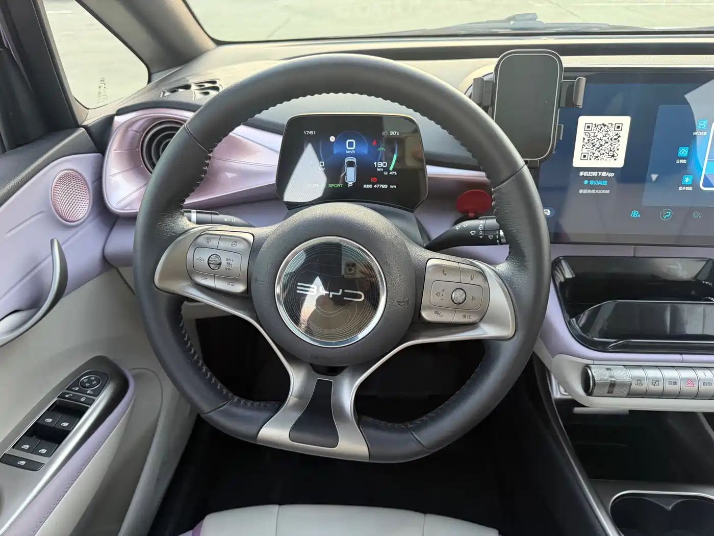 BYD Dolphin 2021 2021 401km Knight Edition