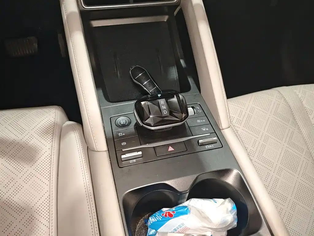 BYD Yuan UP 2024 401KM Leading Edition фото 14