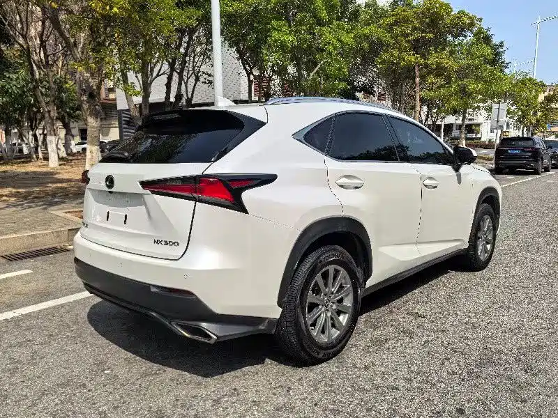 Lexus NX 2018 Model 300 FWD Fengxing Edition фото 7