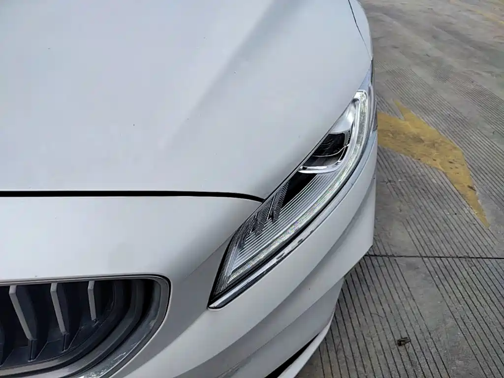 Geely Borui 2021 2021 1.8T Pilot Edition+