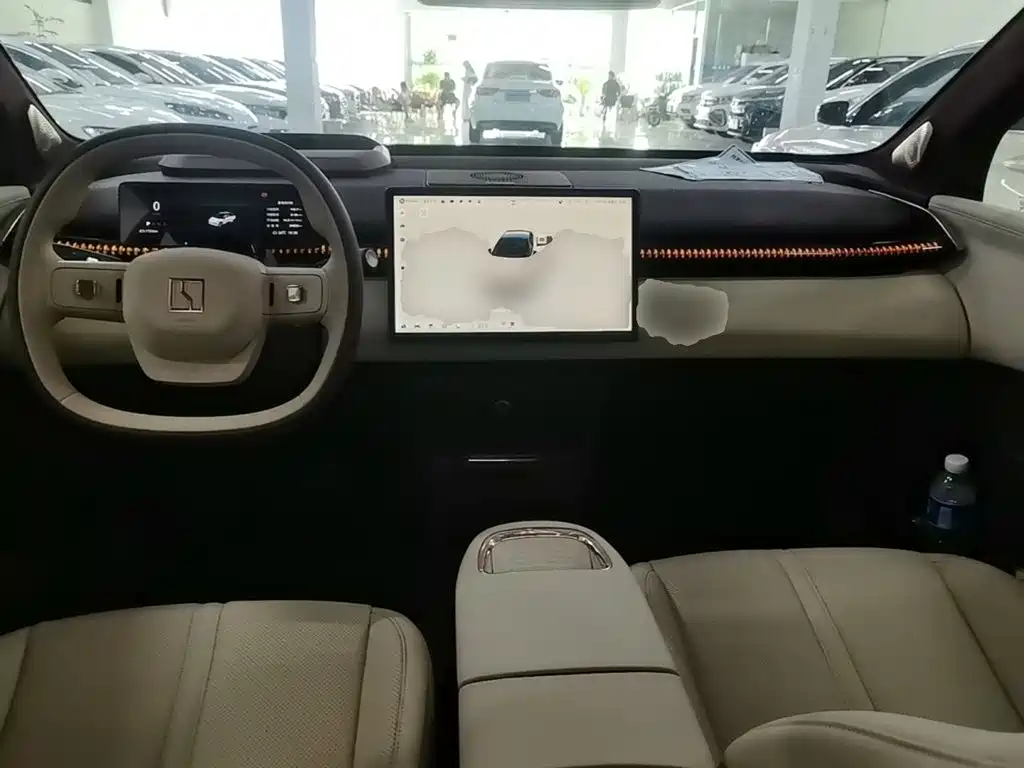 ZEEKR X 2023 2023 RWD YOU Edition 4-seater