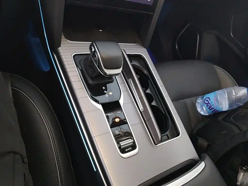 Hongqi HS7 PHEV 2024 2.0T PHEV 4WD Flagship Edition 6-seater фото 14