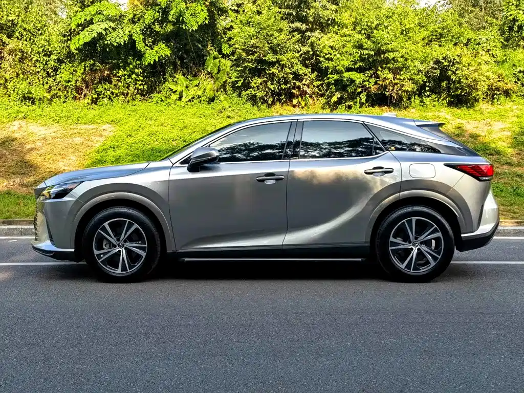 Фото 4 - Lexus RX