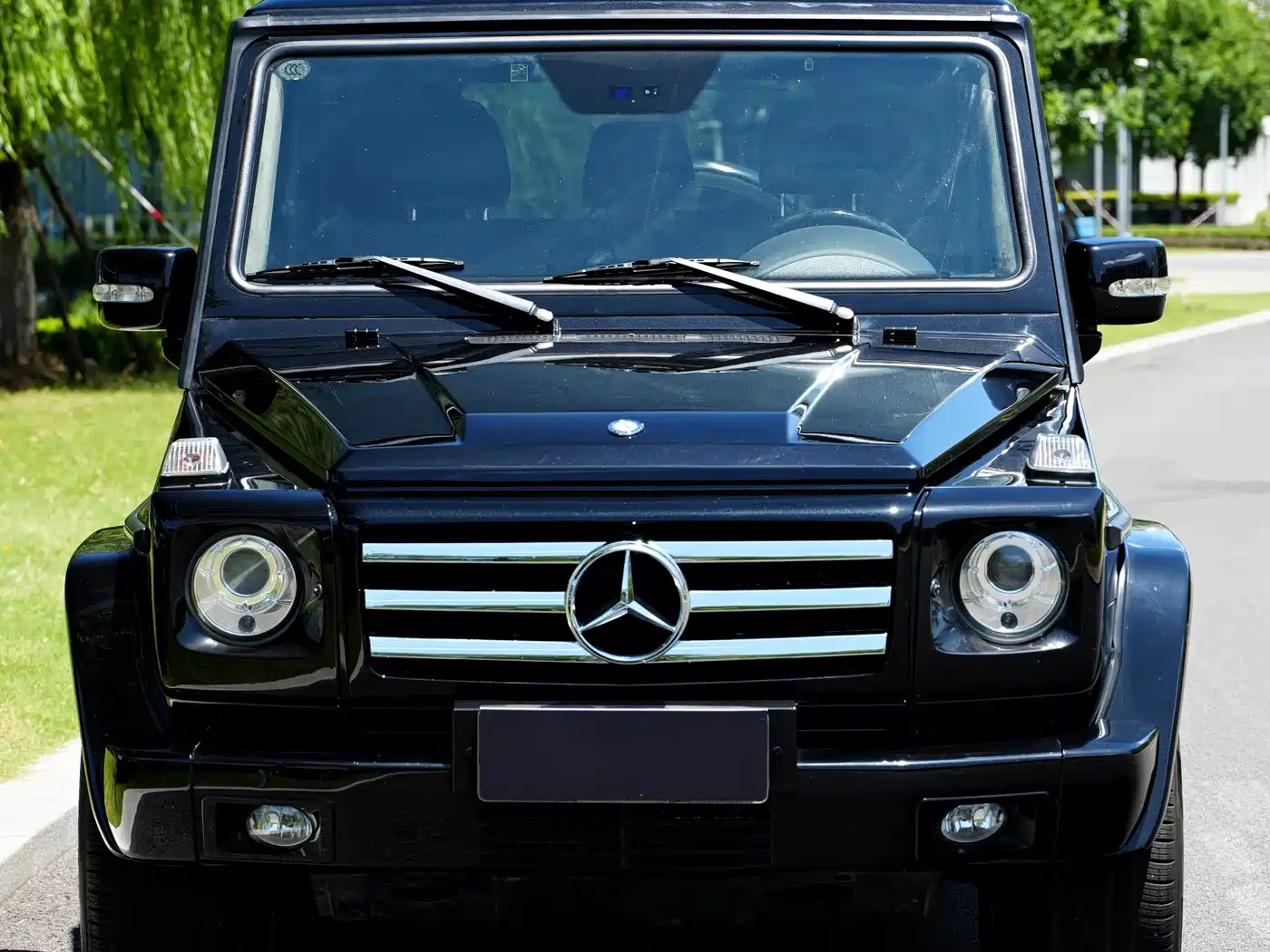 Mercedes-Benz G-Class AMG 2009 AMG G 55 фото 2