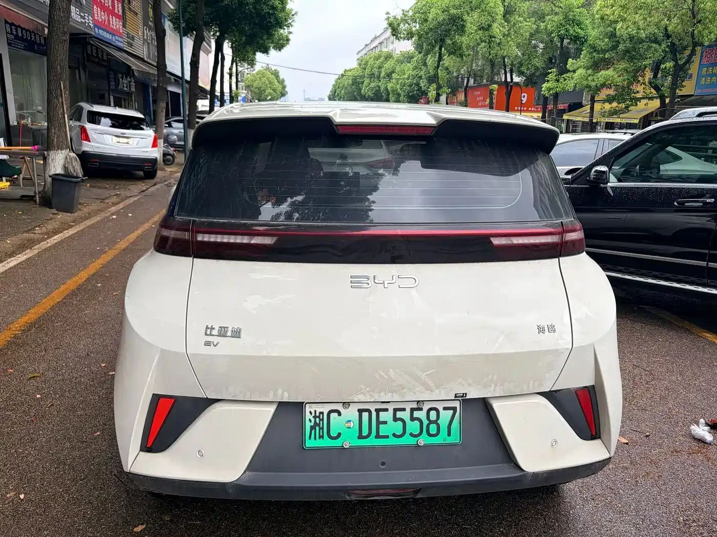 BYD Seagull 2023 Vitality Edition фото 3