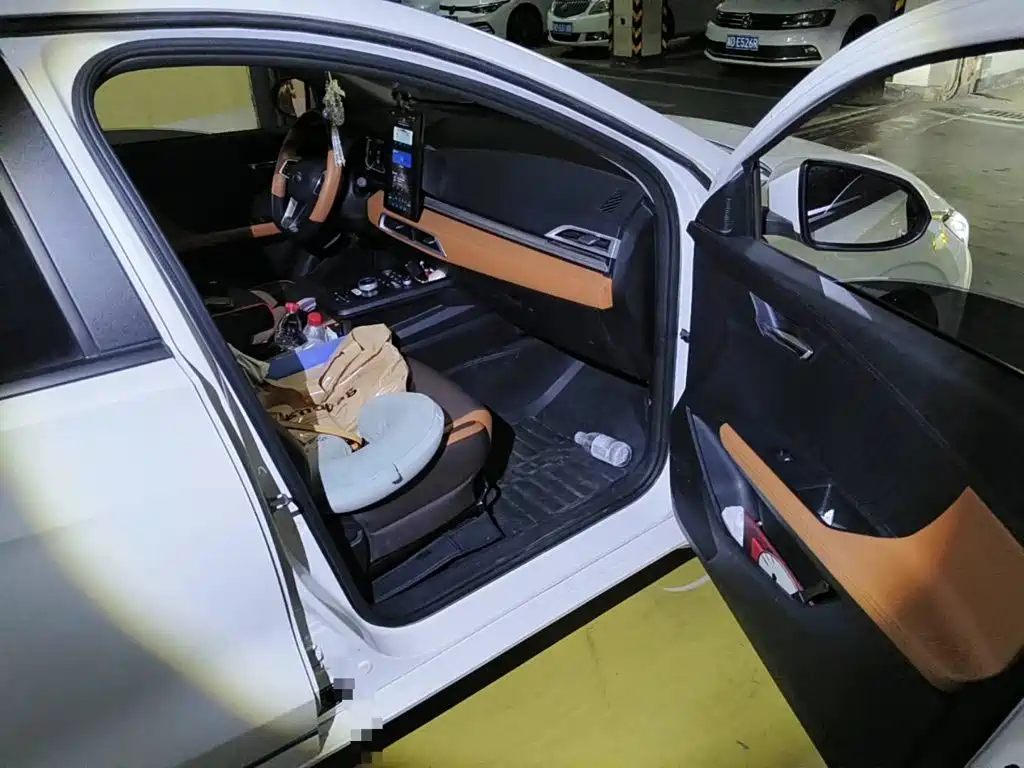 BYD e2 2022 2021 Luxury Edition