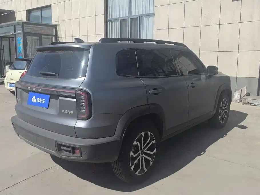 Фото 3 - Haval Dargo