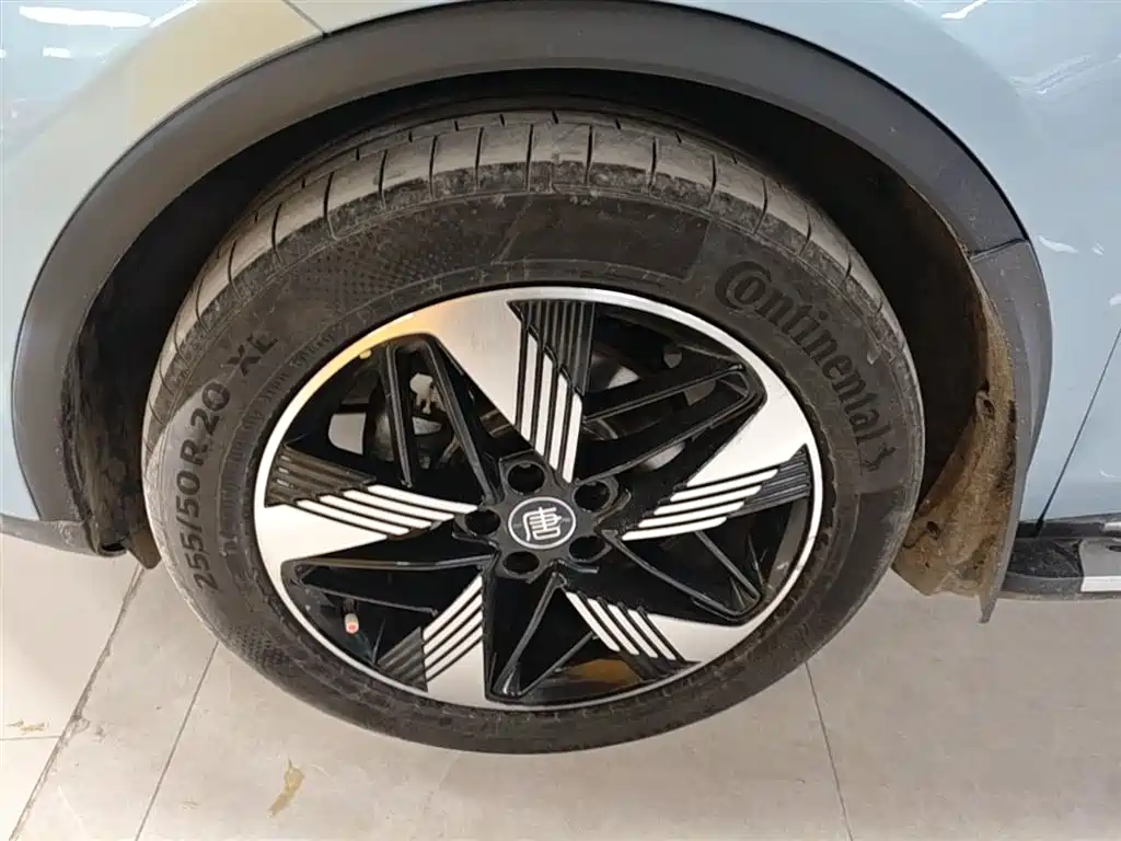 BYD Tang New Energy 2023 Model DM-i Champion Edition 112KM Honor фото 23