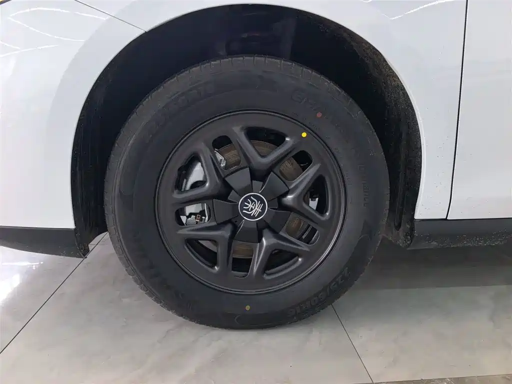 BYD Qin PLUS 2026 DM-i Smart Edition 128KM Progressive фото 23