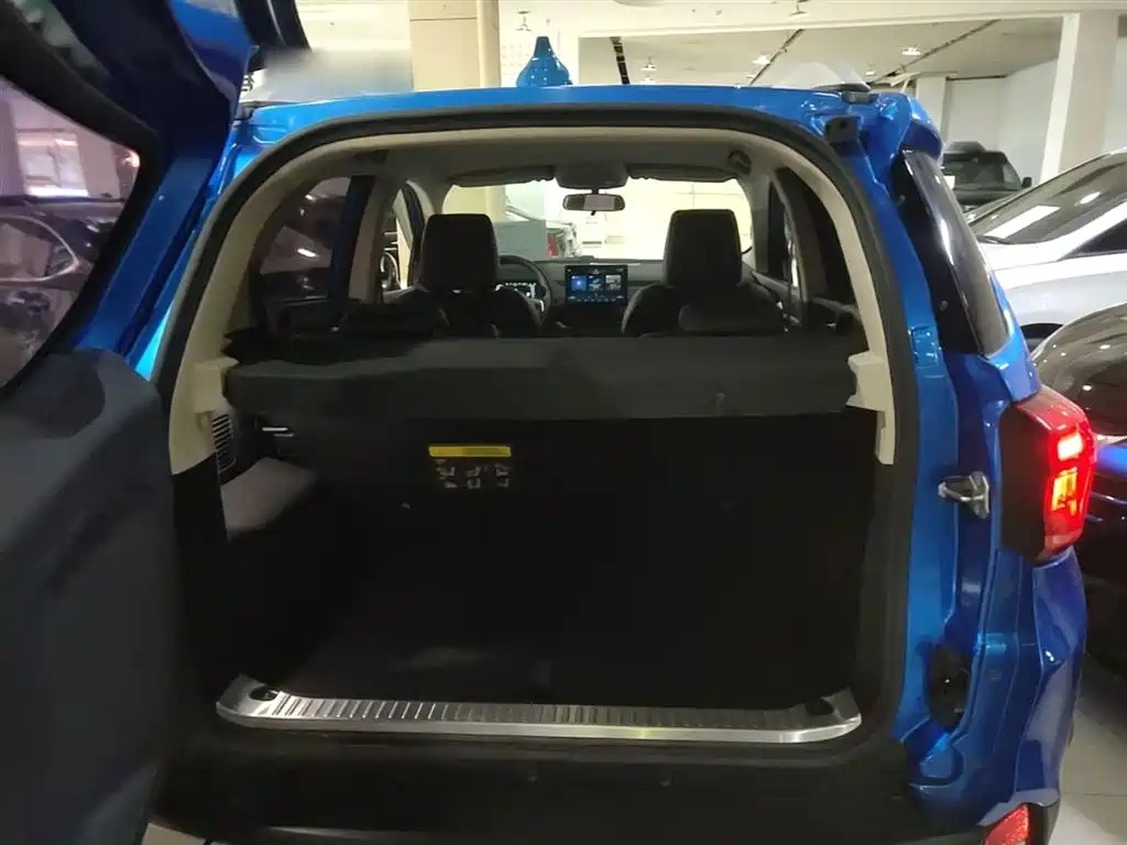 BYD Yuan New Energy 2019 EV535 Smart Connected Trend Leader Type фото 19