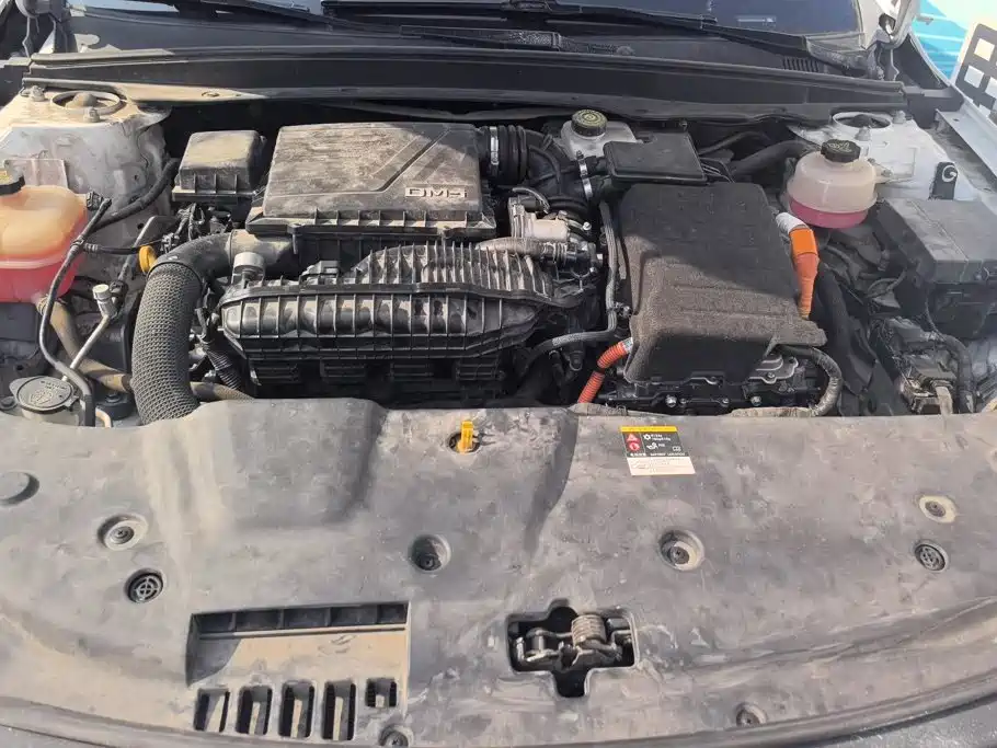 BYD Qin PLUS 2021 2021 DM-i 55KM Flagship
