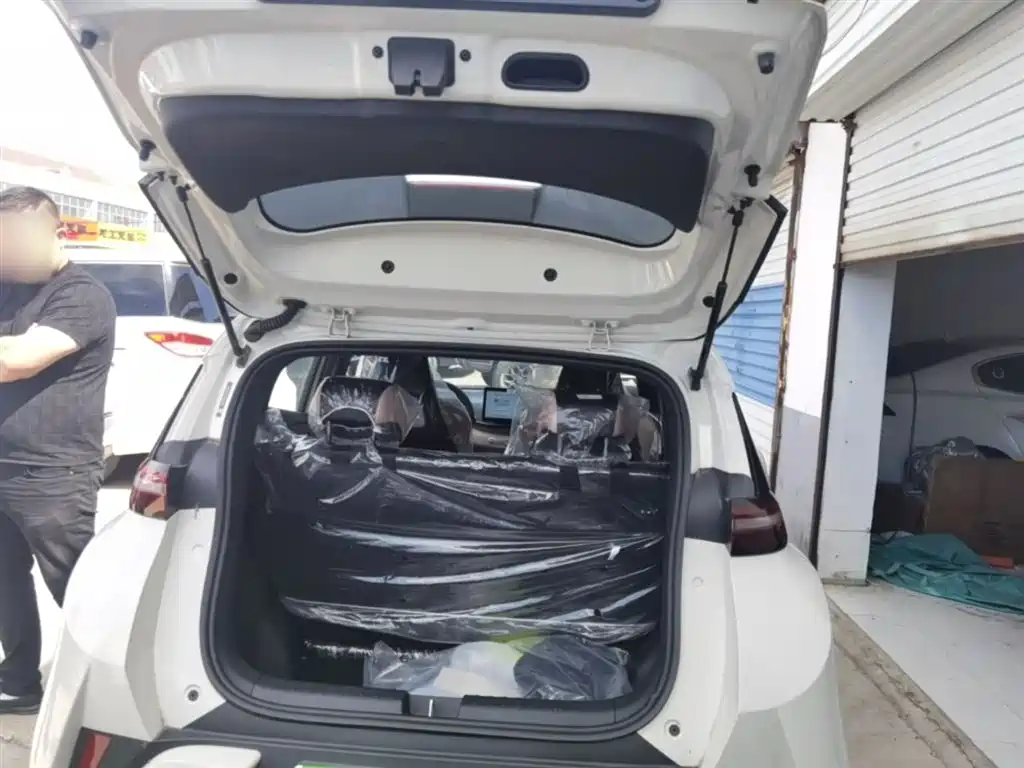 BYD Seagull 2025 Smart Drive Edition 305km Vitality Version фото 19