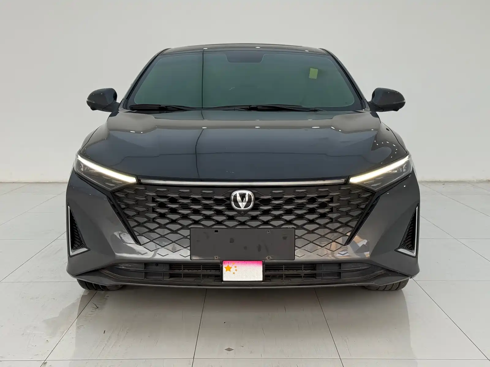 Photo 2 - Changan Ruicheng PLUS