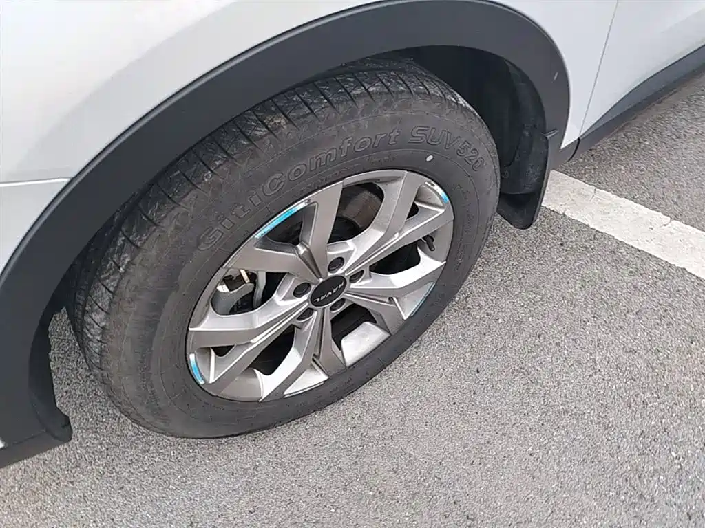 Haval H6 2021 Model National Trend Edition 1.5T Auto Champion фото 25