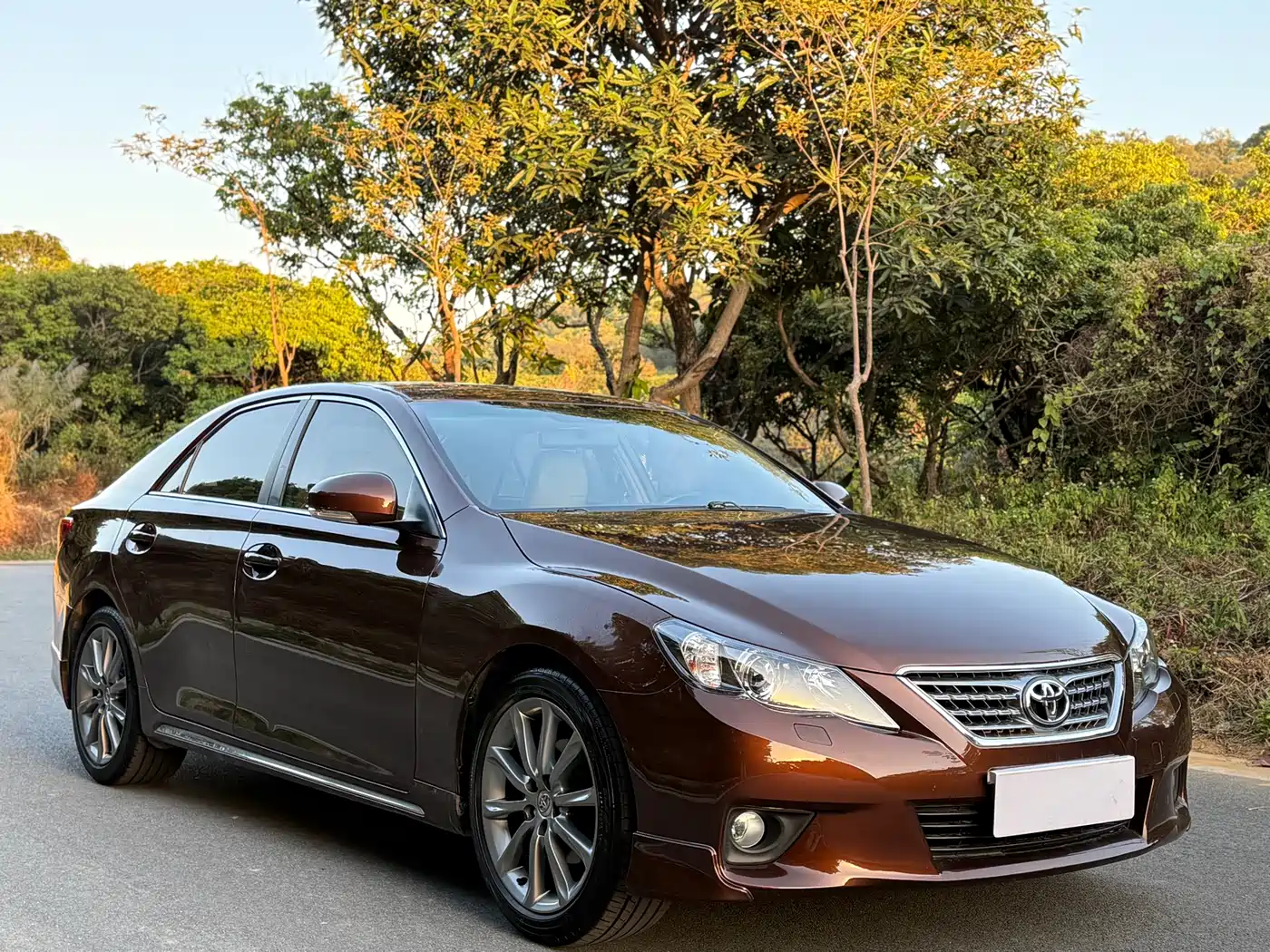 Toyota Reiz 2012 2.5V Grace Elite Styling Edition фото 3