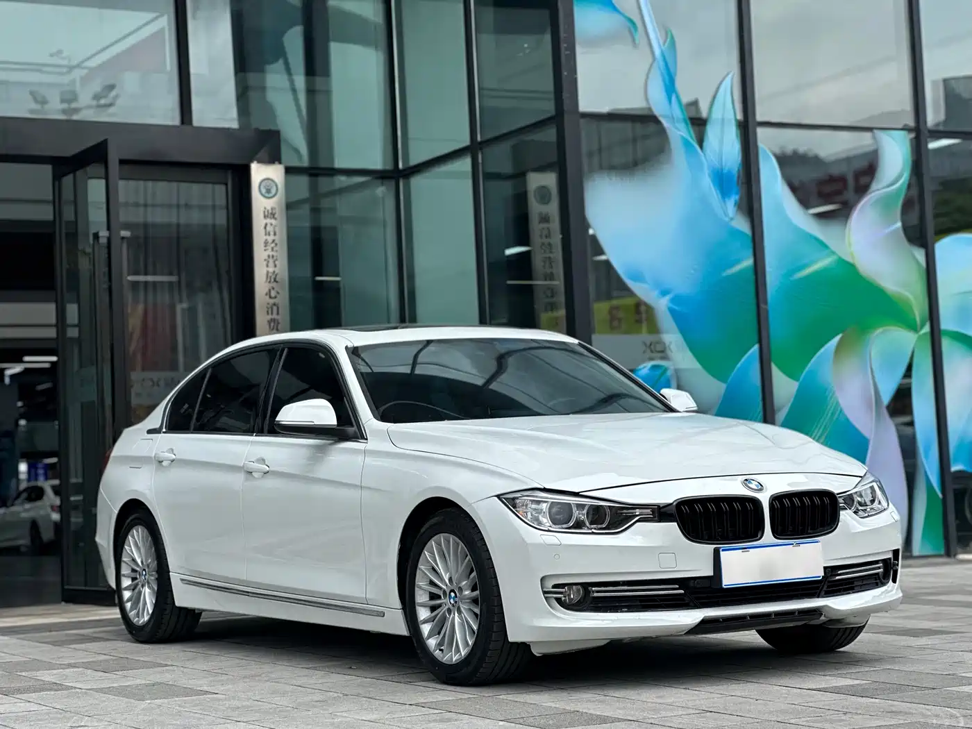 BMW 3 Series 2014 320Li Luxury Design Package фото 3
