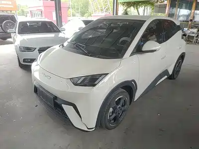 BYD Seagull