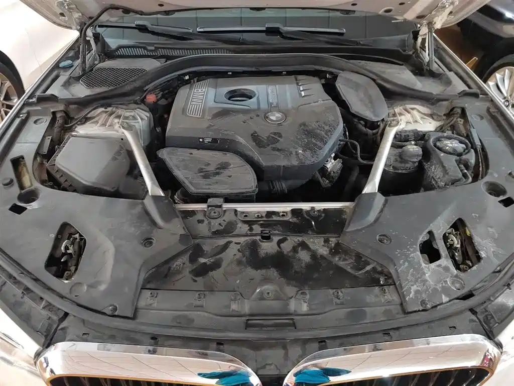 BMW 5 Series 2020 530Li Exclusive M Sport Package фото 20