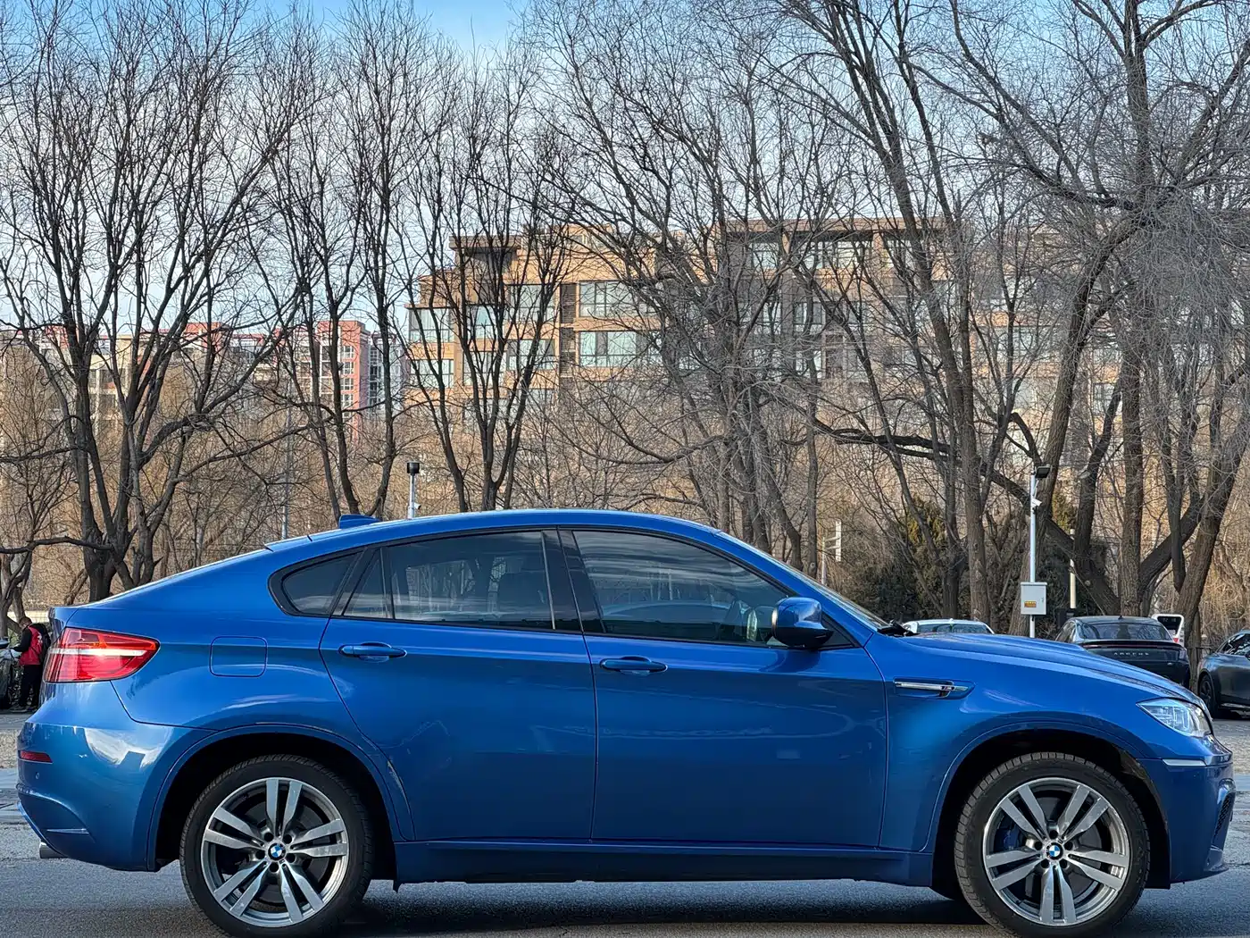 BMW X6 M 2013 X6 M фото 9