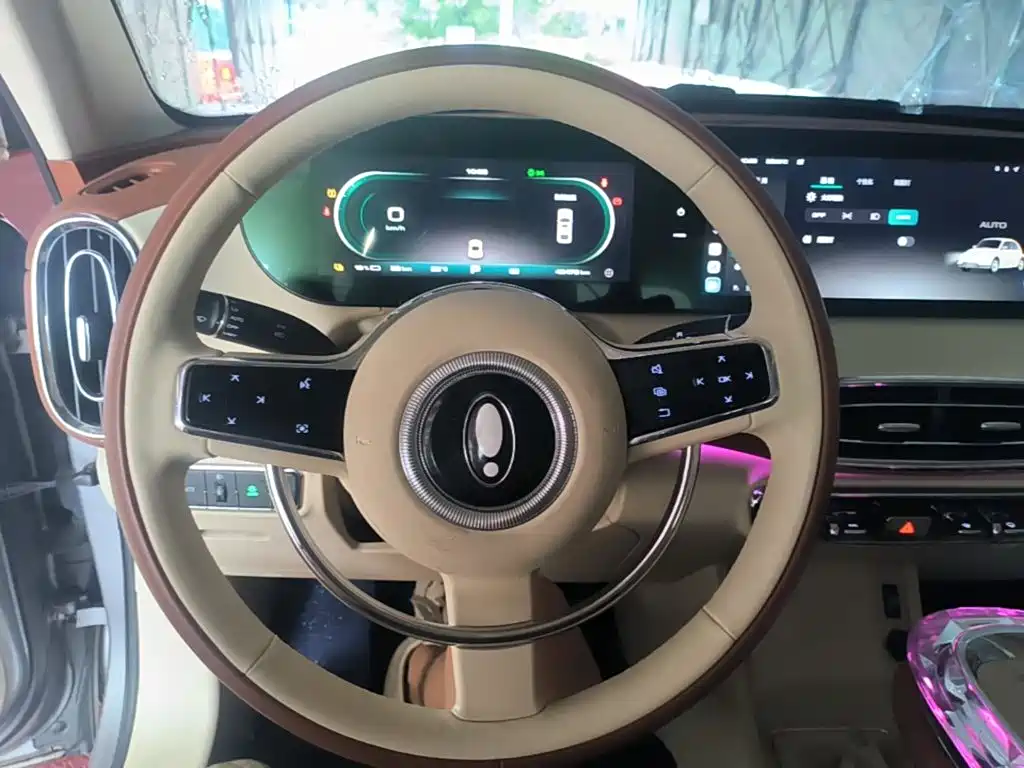Ora Ballet Cat 2023 2023 401km Premium Model