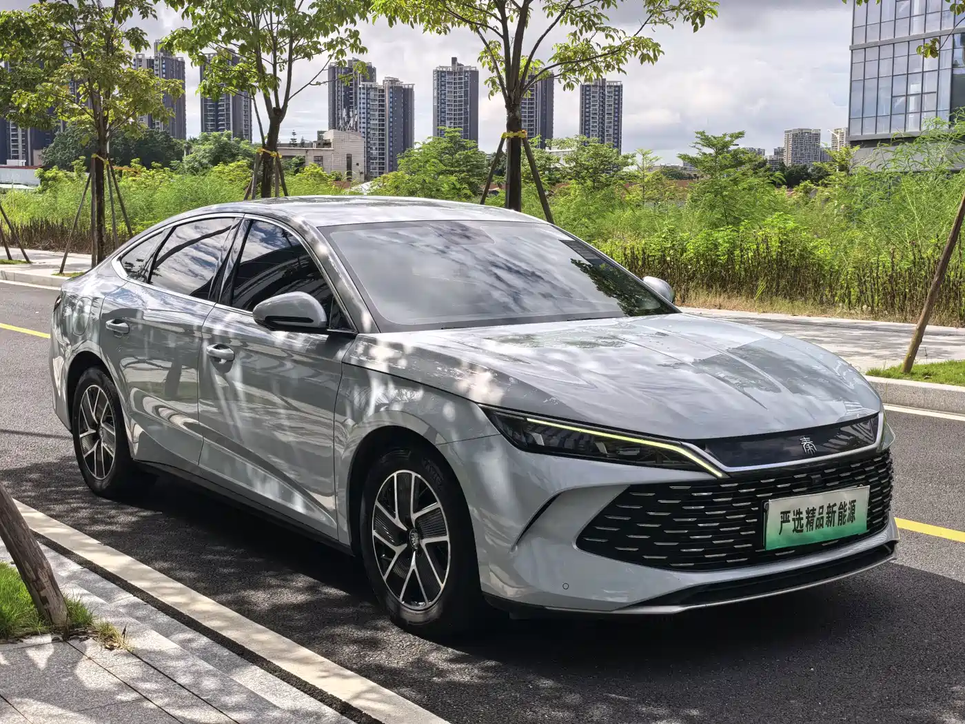Фото 5 - BYD Qin L