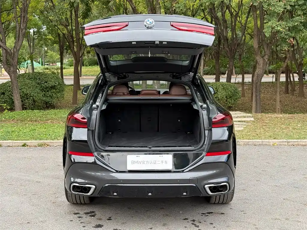 Фото 6 - BMW X6