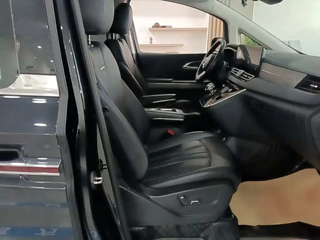 Hongqi HQ9 PHEV 2024 2024 Model 2.0T AWD Business Edition