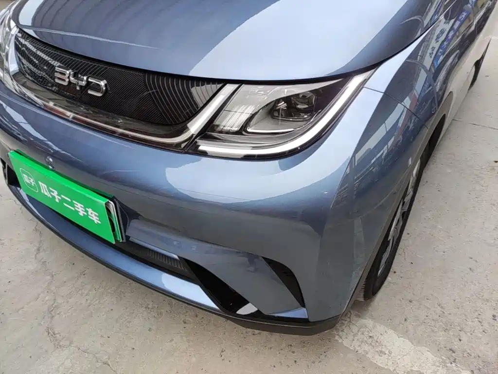 BYD Dolphin 2026 2025 420km Freedom Edition