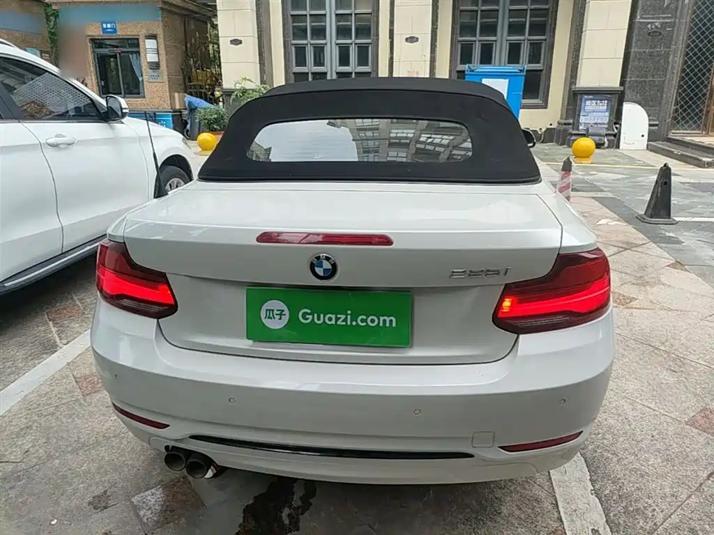 BMW 2 Series (Import) 2019 225i Convertible Coupe Sport Design Package фото 6