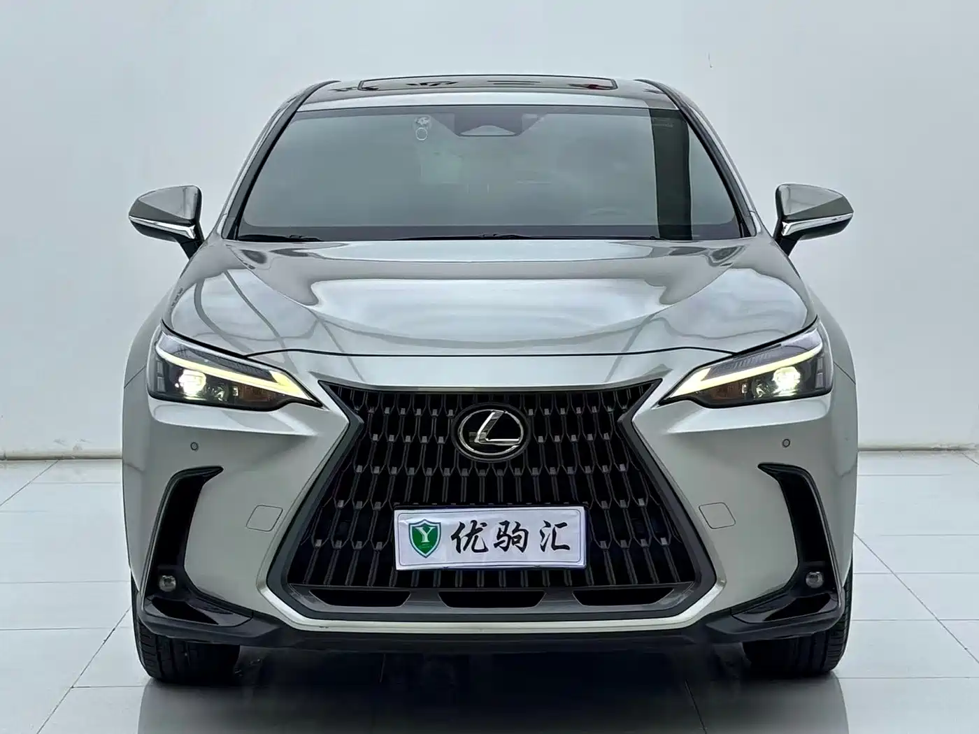 Lexus NX 2024 2023 260 FWD Joy Creation Edition
